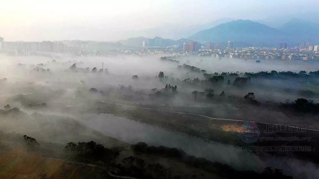 中午睡午觉硬了，被女同事看到好尴尬游戏画面