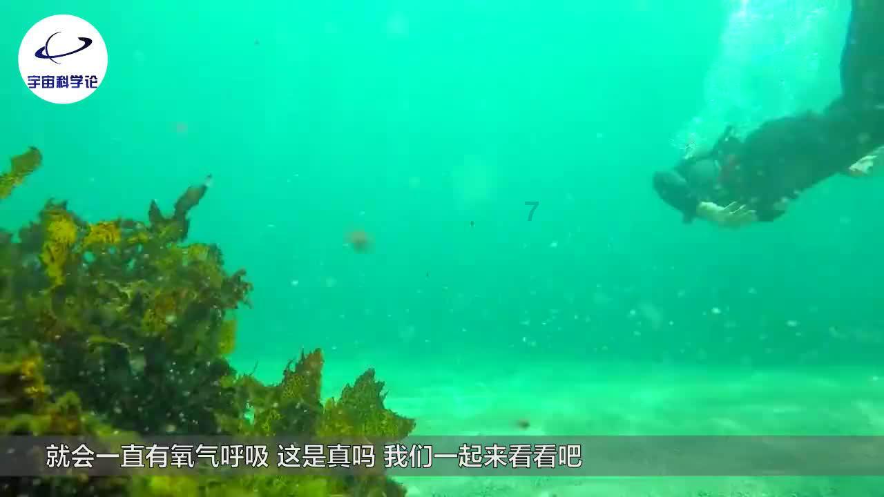方块搭桥