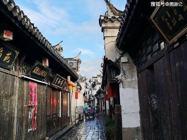 生化危机：浣熊市行动